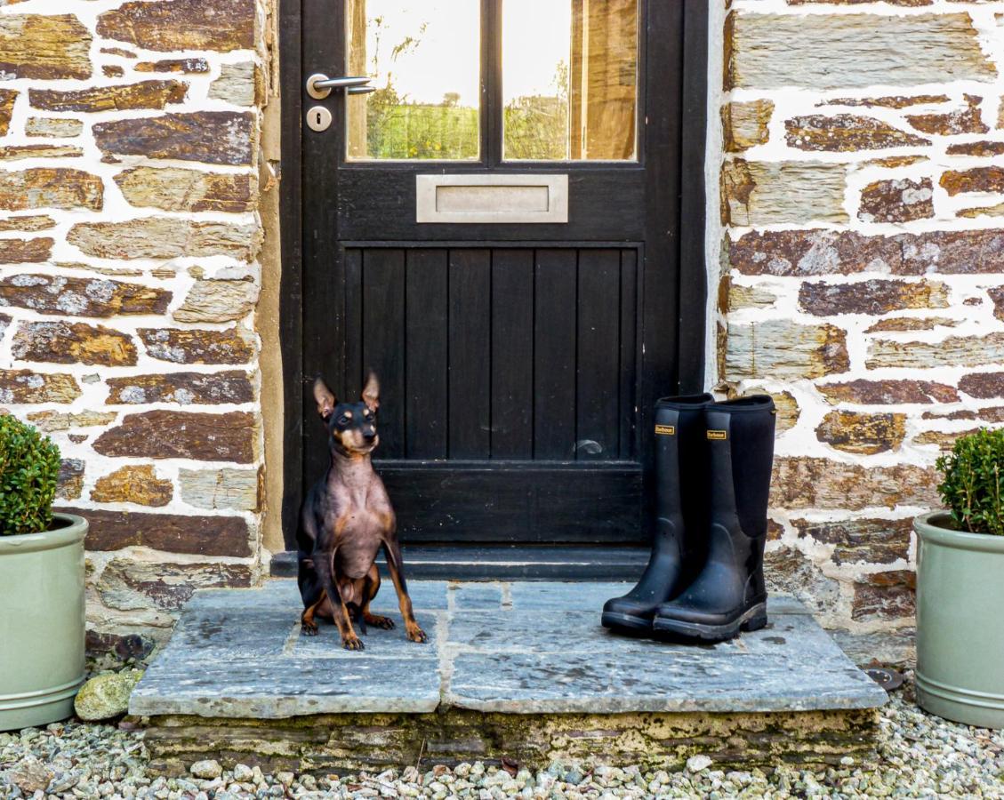 Little Petherick Gwel An Heyl, Padstowヴィラ エクステリア 写真