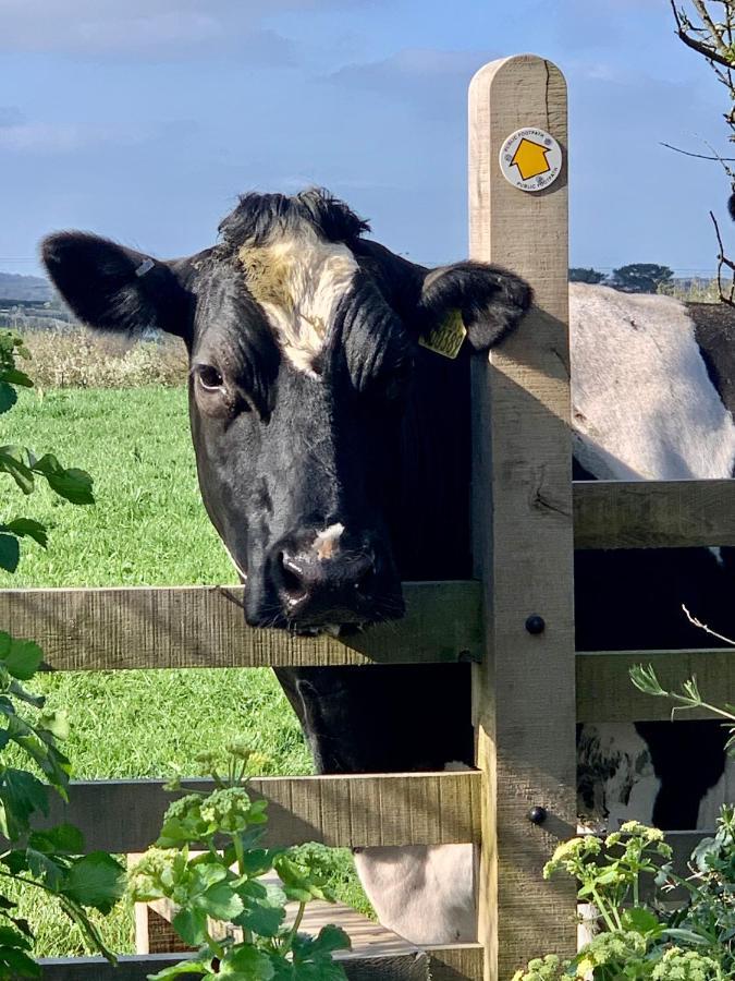 Little Petherick Gwel An Heyl, Padstowヴィラ エクステリア 写真